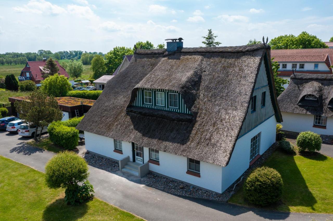 An der Steilküste Wohnung 02 Ostseebad Boltenhagen Exterior foto